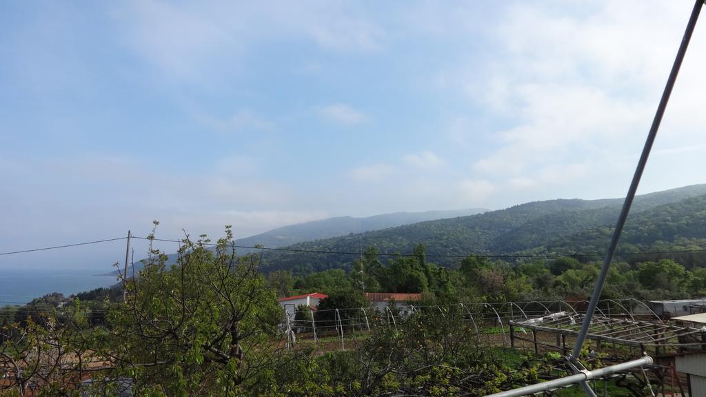 Paradies Ano Polidhendrion Cameră foto